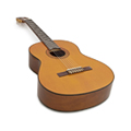 Gitarlar