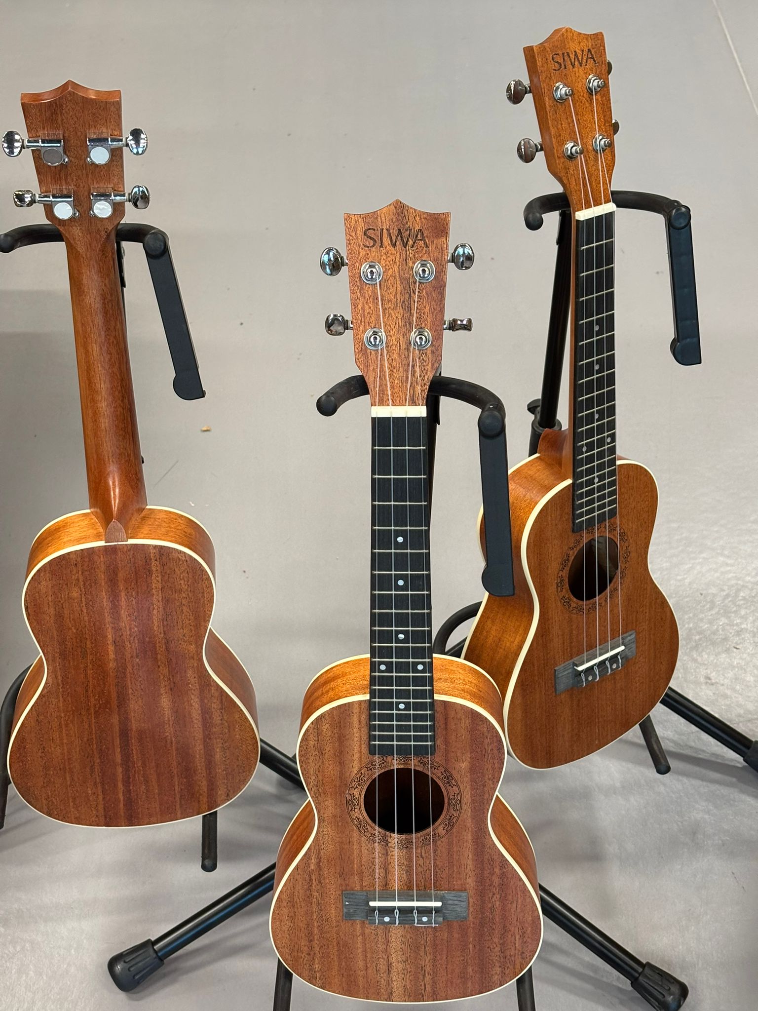 SİWA Maun Concert Ukulele